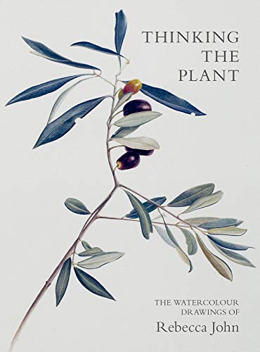 Book cover featuring a watercolour illustration of olive branches with fruit.
