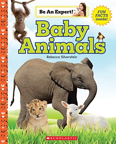 Book cover for Baby Animals featuring an elephant, lion cub, lamb, and orangutan.