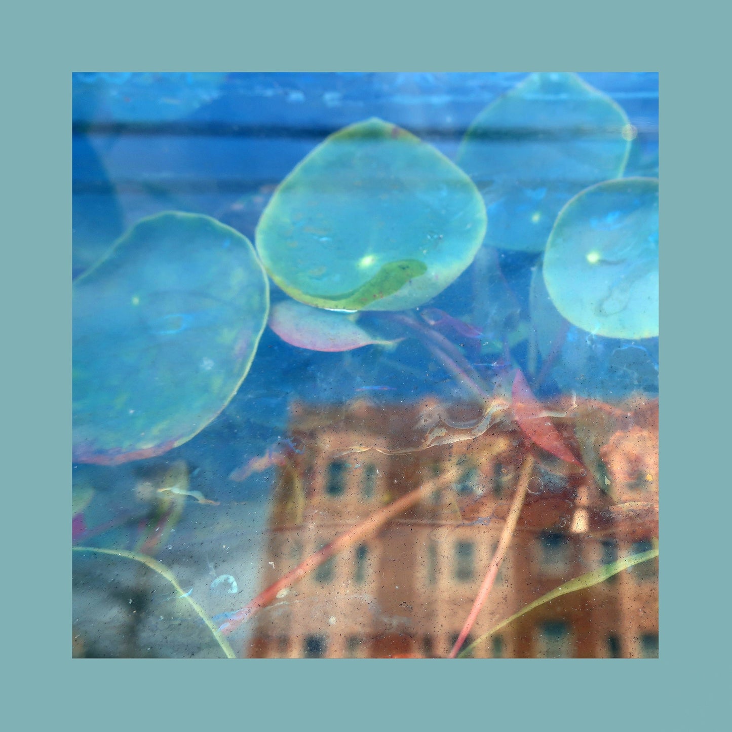 Abstract CD cover with blurred bubbles, city view, and pink/purple tones.