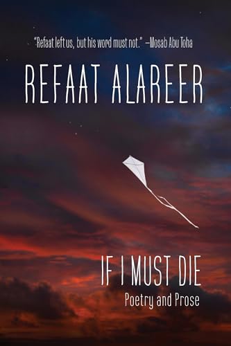 Book cover showing a white kite flying against a dark, dramatic sunset sky.