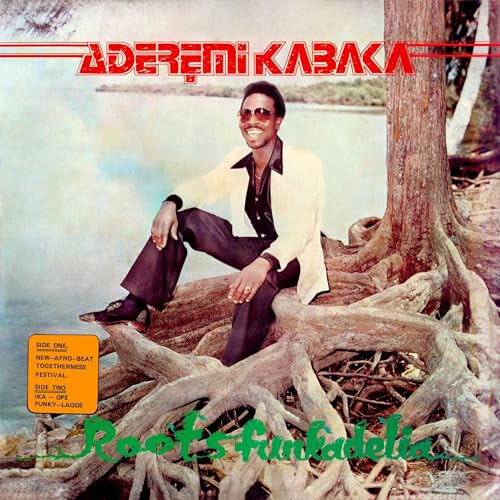 Record album cover featuring Remi Kabaka posing by tree roots.
