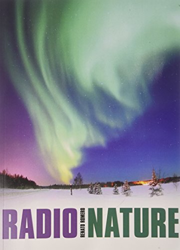 Book cover: swirling green and purple aurora borealis over snowy landscape.