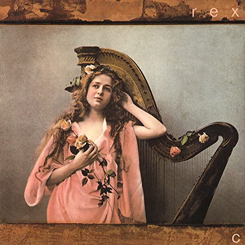 A woman with long hair in a pink dress holding roses beside a harp.
