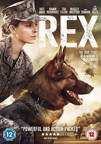 A female Marine in uniform poses with a German Shepherd dog on a battlefield.