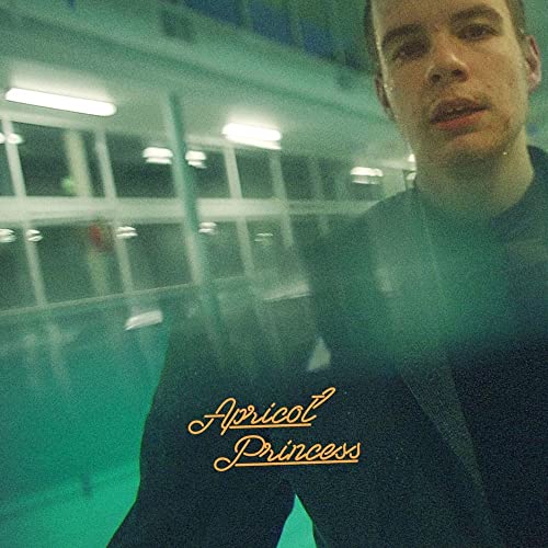 Rex Orange County album cover, portrait with teal and blue tones.