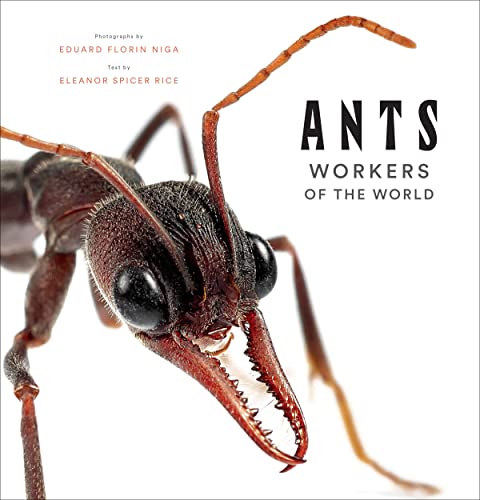 Close-up of an ant’s head and mandibles on a book cover.