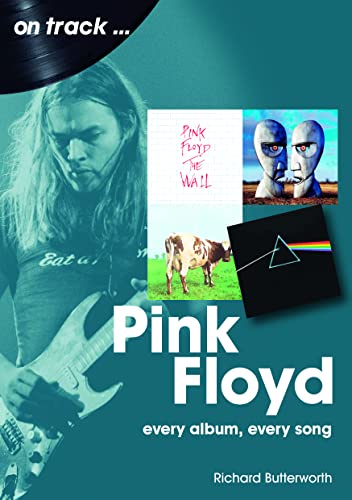 Book cover featuring a guitarist and Pink Floyd album art on a teal background.