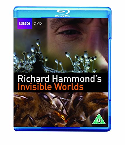 "Blu-ray case with a close-up of an eye and bees on the cover."