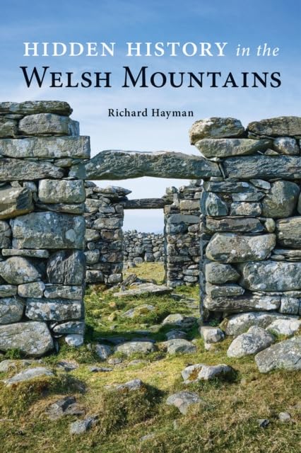 Book cover showing ancient stone ruins in the Welsh mountains under a blue sky.
