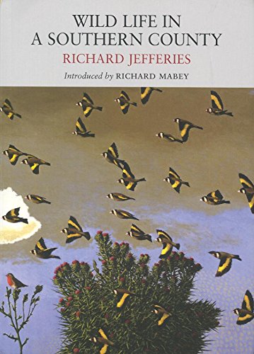 Book cover showing a flock of birds flying over a green bush.