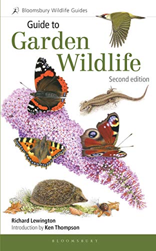 Book cover: “Guide to Garden Wildlife” featuring butterflies, a hedgehog, and lizard.