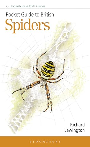 Book cover for Pocket Guide to British Spiders featuring a yellow and black spider.