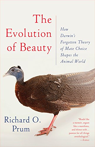 Book cover featuring a vibrant pheasant and the title "Evolution of Beauty.