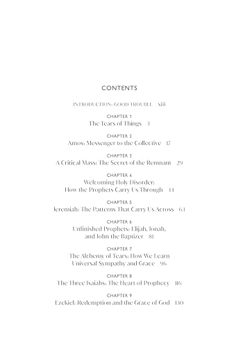 A table of contents page listing nine chapters and an introduction for a book.