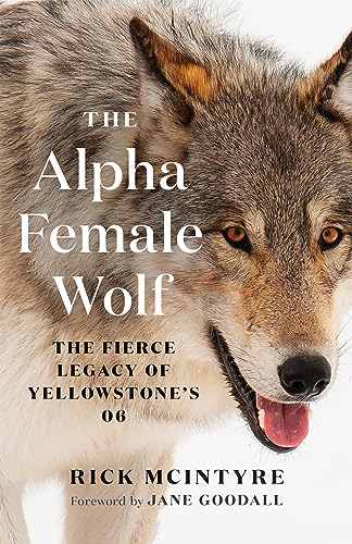 Book cover featuring a close-up portrait of a gray wolf’s face.
