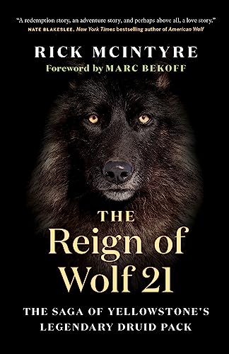 Book cover featuring a close-up portrait of a black wolf’s face.