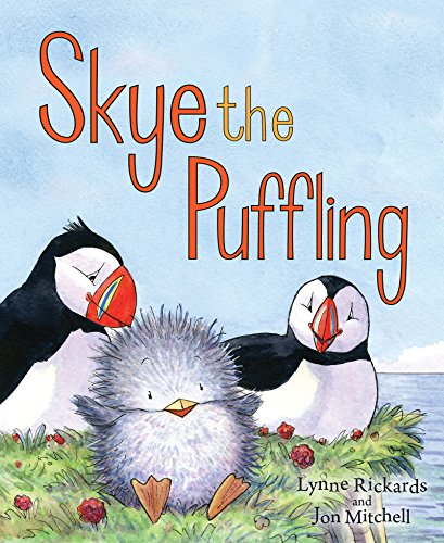 Small board book with puffin illustration, bright colors, and simple child-friendly design elements.