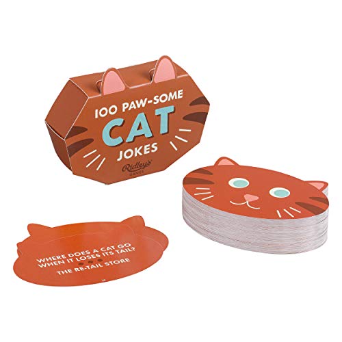 Orange cat-shaped box and cards with jokes written on them.
