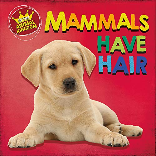 Yellow Labrador puppy on a red background with colorful text.