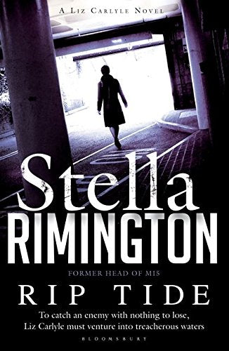Book cover: woman walking toward light under a bridge, title “Rip Tide”.