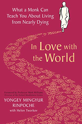 Book cover with a monk walking on a patterned path against a maroon background.
