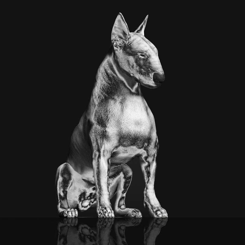 Black and white photo of a bull terrier statue, reflective surface.