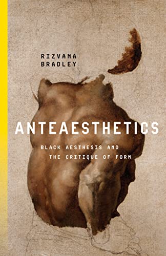 Book cover: "Anteaesthetics" with abstract brown figure and yellow stripe.