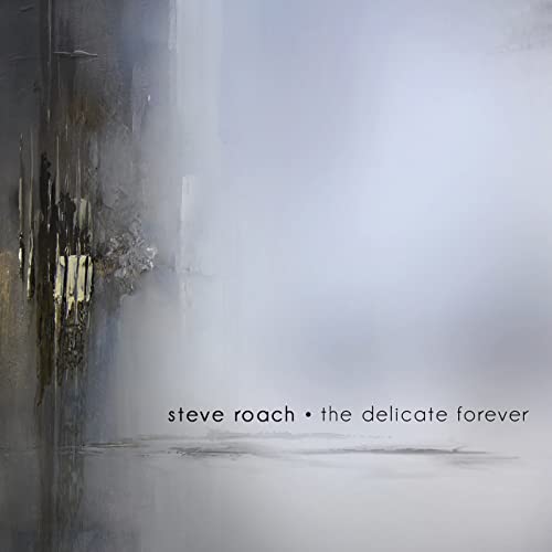CD cover for Steve Roach’s “The Delicate Forever” with abstract gray painting.
