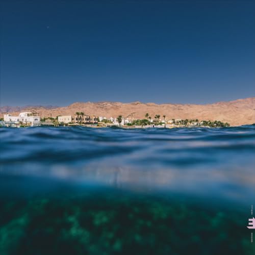 Coastal town viewed from underwater, with mountains in the background.