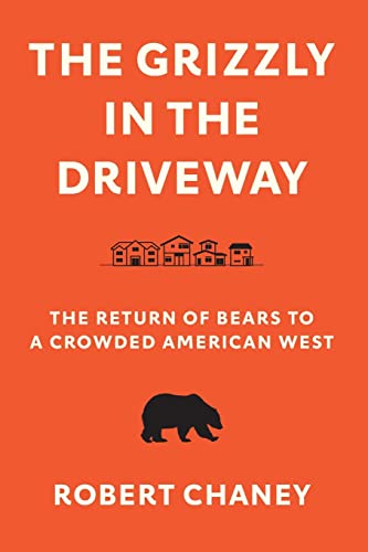 Book cover: orange background, grizzly bear, houses, and title text.