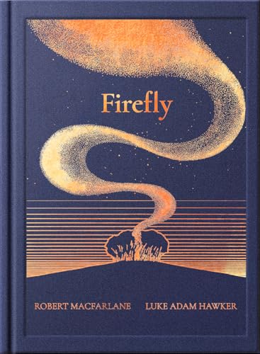 Book cover with a glowing orange light trail against a dark blue background.