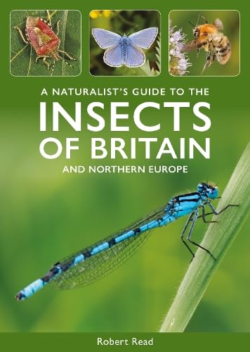 Book cover featuring insects of Britain and Northern Europe, including a dragonfly.