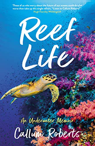 A sea turtle swims past a vibrant coral reef on the book cover.