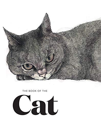 Book cover featuring a detailed, sketched portrait of a gray cat.