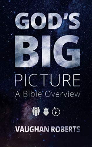 Book cover for God's Big Picture by Vaughan Roberts against a starry night background.