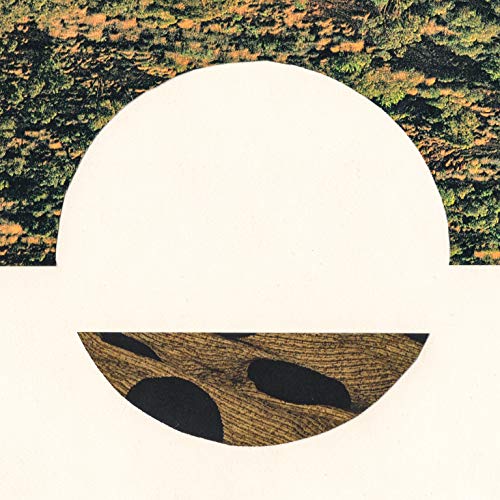 CD cover with abstract landscape, a large white circle, and woodgrain.