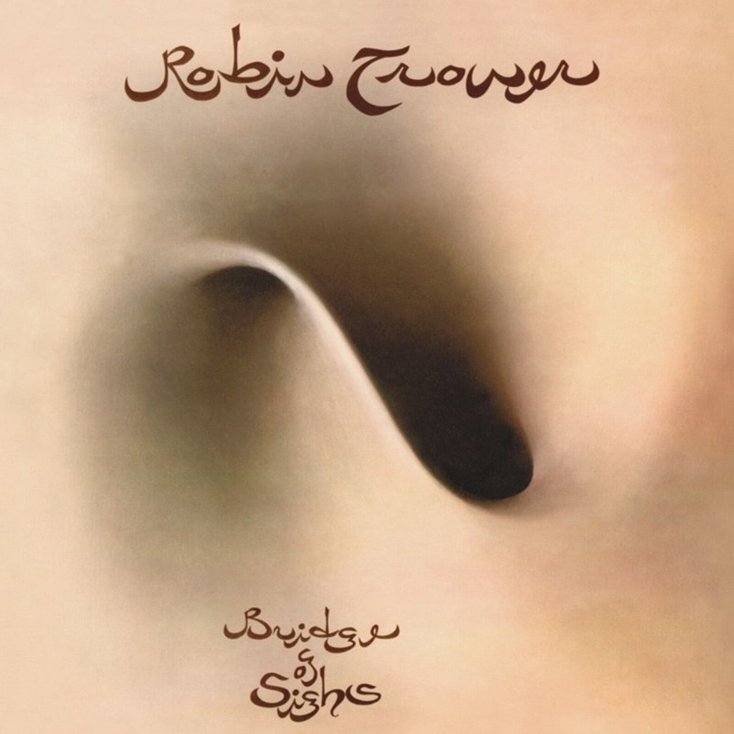 Album cover with abstract dark swirling shape on tan background and stylized brown text.