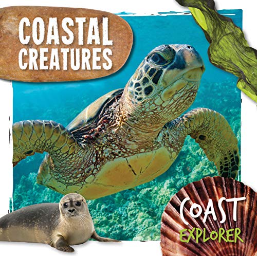 Book cover featuring a sea turtle, seal, and seashell in blue water.
