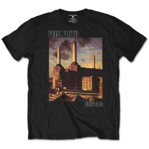 Man wearing a black t-shirt with a Pink Floyd album cover design.