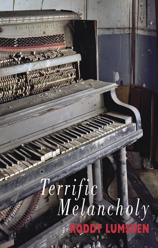 An old, dusty, broken piano in a dilapidated room, with book title and author text.
