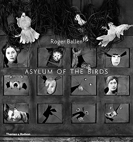 Book cover: black and white collage with birds, faces, and broken glass.