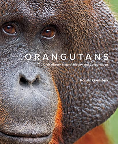Close-up of an orangutan face with book title "Orangutans" overlaid.