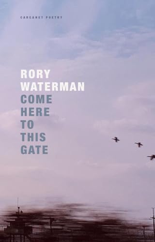 Book cover with title and author text over a cloudy sky with flying birds.