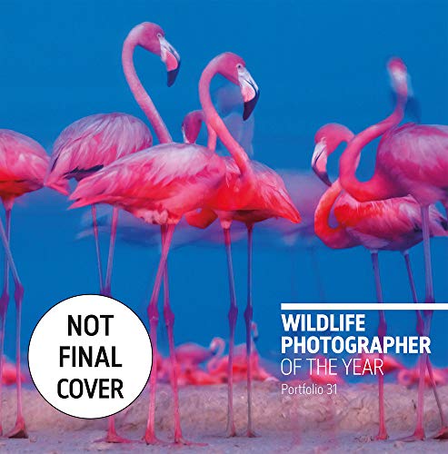 A flock of pink flamingos standing in shallow water, book cover.