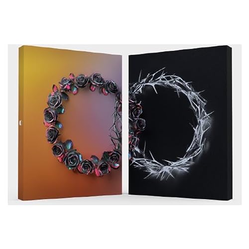 CD deluxe box set with rose and thorn circle designs, two-tone cover.