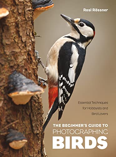 Book cover featuring a woodpecker clinging to a tree trunk.