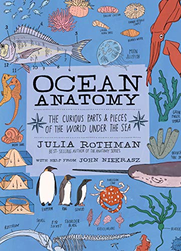 Book cover: "Ocean Anatomy" with illustrated sea creatures and anatomy details.