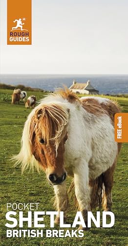 A Shetland pony stands in a grassy field with a coastal landscape in the background.