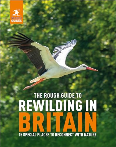 A white stork flies against a blurred green forest background on a book cover.