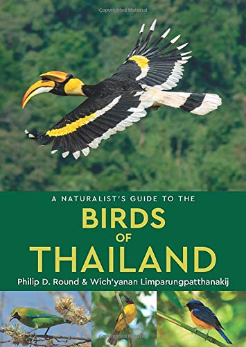 Book cover featuring a large hornbill in flight above three smaller birds on branches.